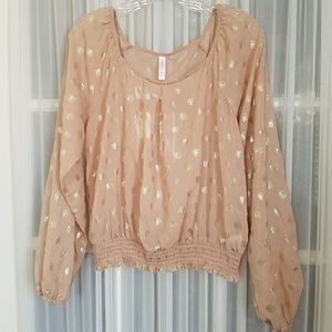 Sheer Cream and Gold Blouse